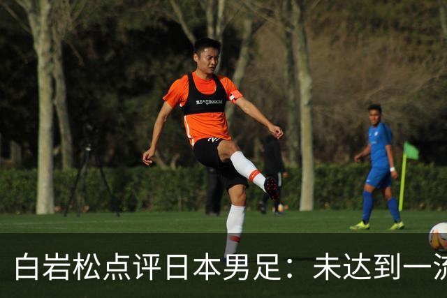 白岩松点评日本男足：未达到一流强队标准，仍需克服对荷兰的恐惧